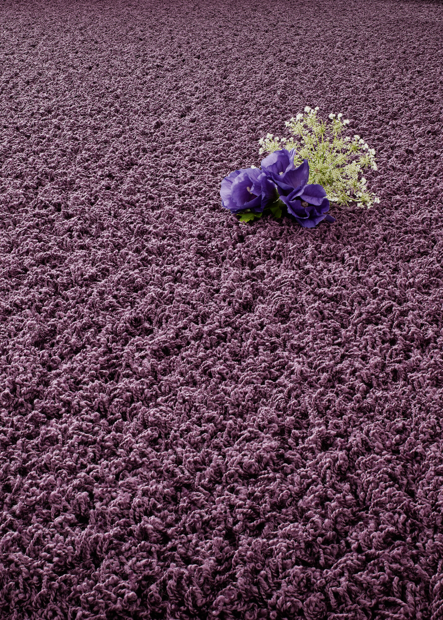 Ein lila Teppich mit einer flauschigen Textur, auf dem ein kleiner Strauß aus lila Blumen und weißen Blüten platziert ist.