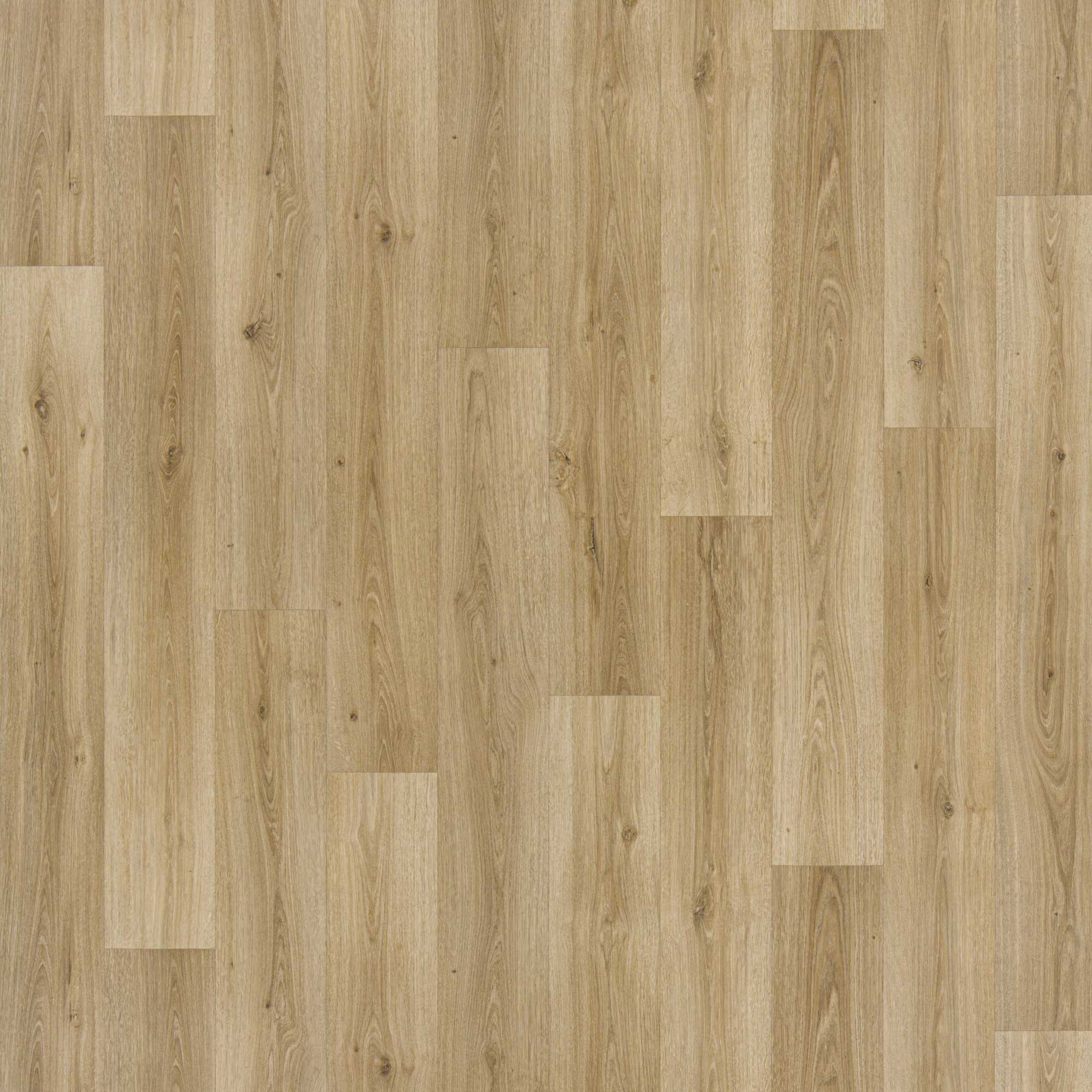 2.--JOKA-CV_Deluxe_Wood-Stone_Lech_305_mus