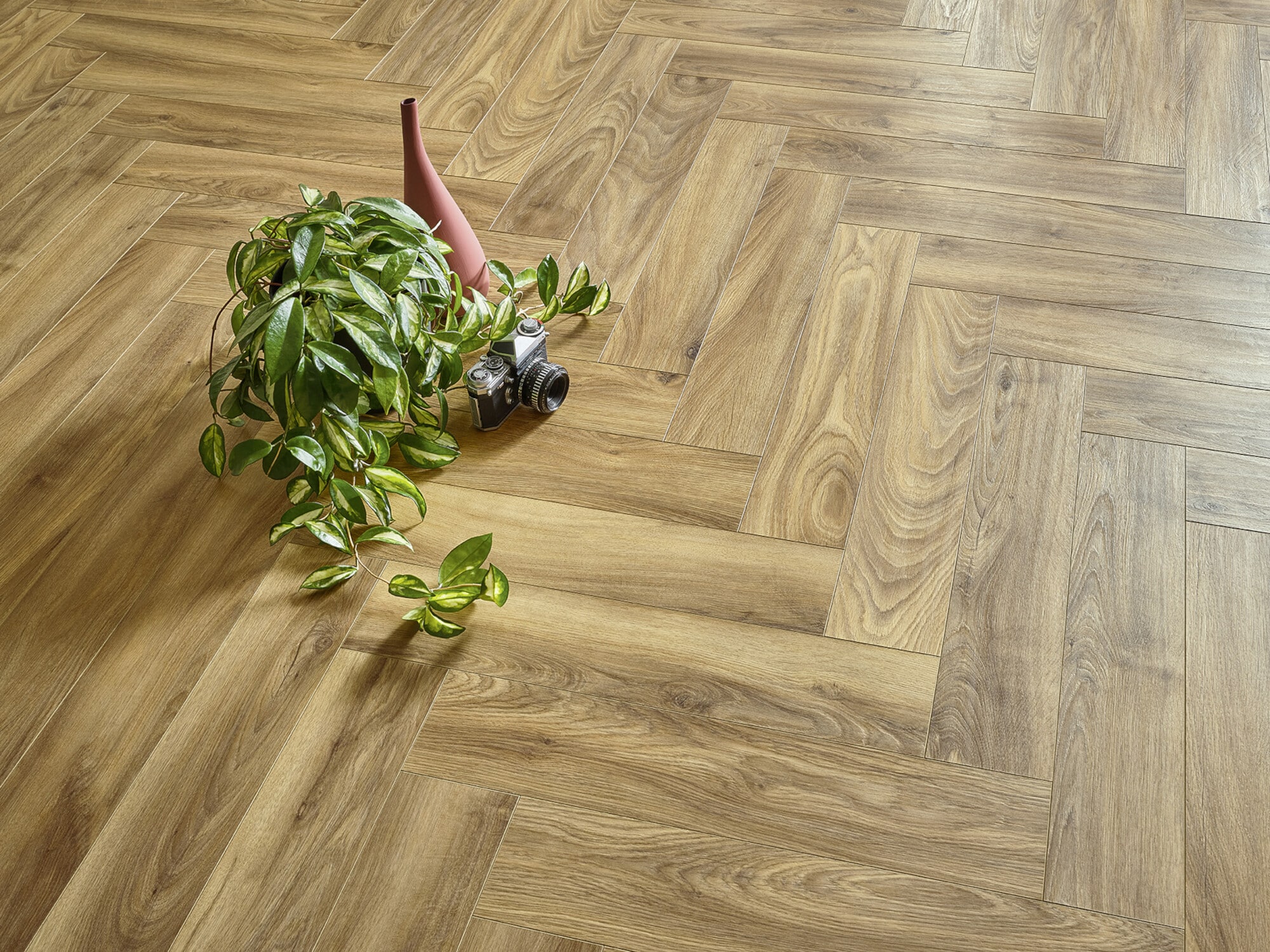 Ein Holzfußboden im Fischgrätenmuster, auf dem eine grüne Pflanze mit hängenden Blättern, eine rosa Vase und eine alte Kamera platziert sind.