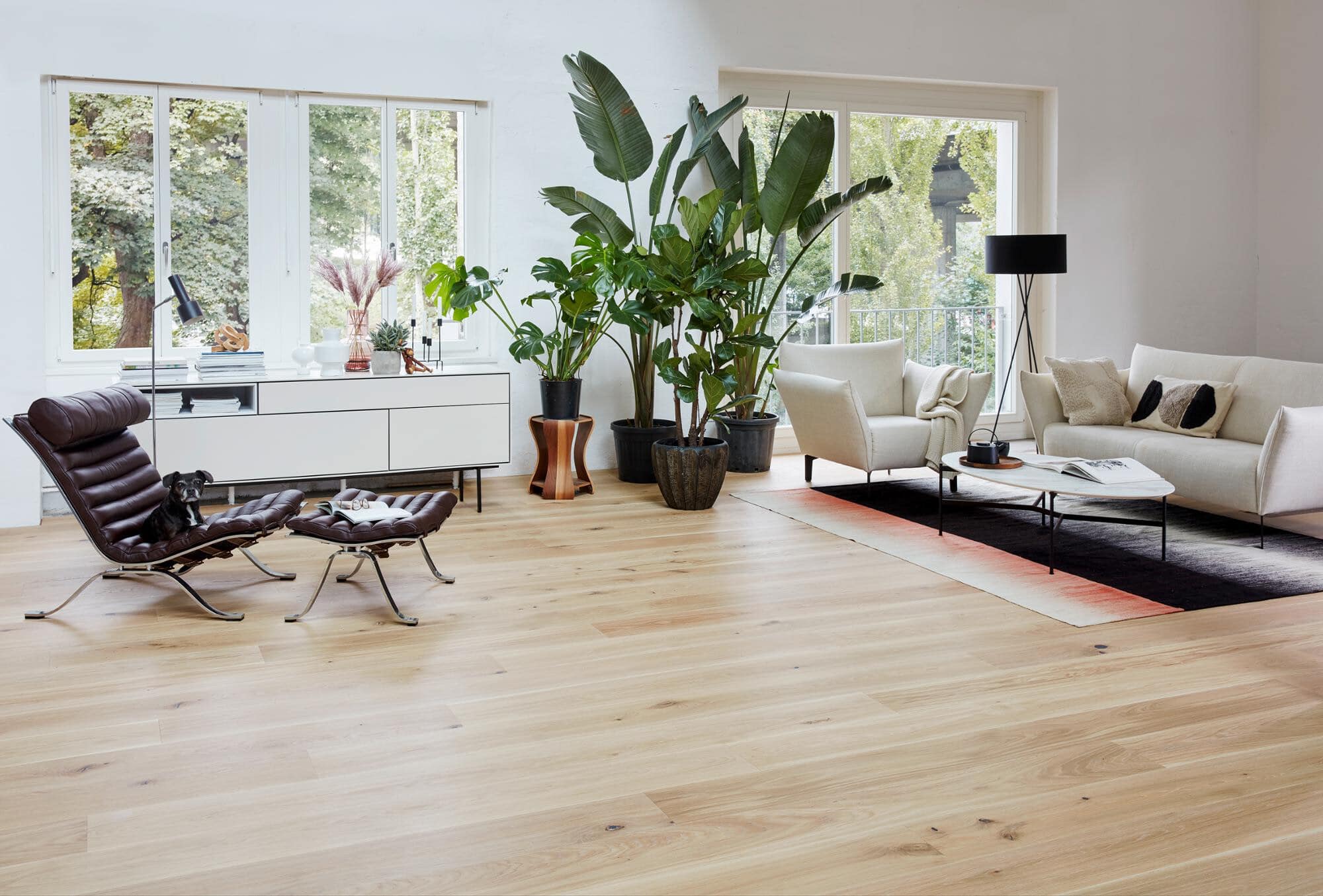 Ein modernes, helles Wohnzimmer mit großen Fenstern, die viel Tageslicht hereinlassen. Es gibt eine gemütliche Sitzecke mit einem beigen Sofa und einem Sessel, einem Couchtisch und einem Teppich. In der Ecke stehen mehrere Pflanzen und ein stilvolles Sideboard. Ein schwarzer Stehlampe sorgt für zusätzliche Beleuchtung. Ein Hund sitzt auf einem schwarzen Stuhl. Der Boden ist aus hellem Holz.