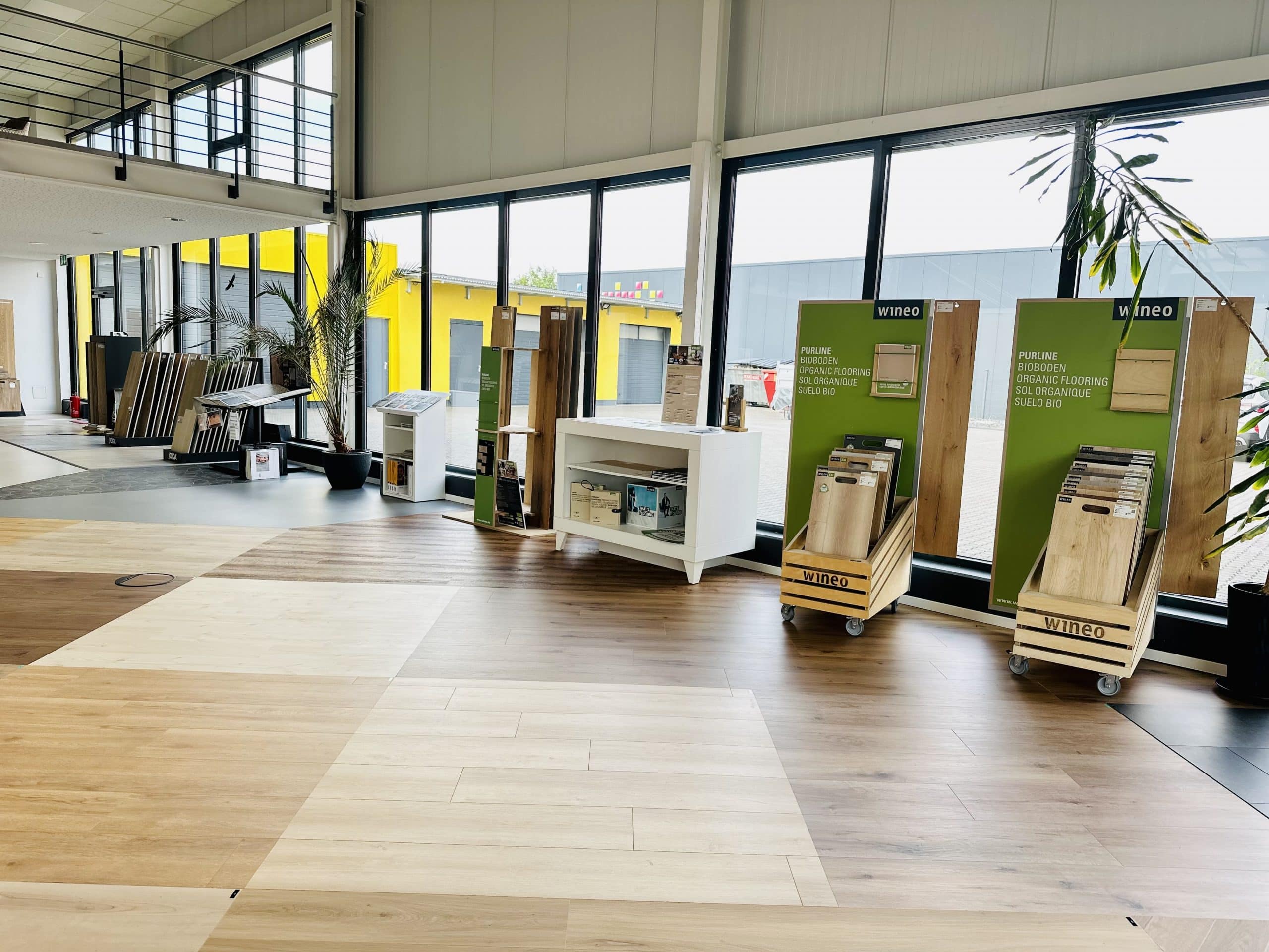 Ein modernes Ausstellungszimmer mit großen Fenstern, das verschiedene Bodenbeläge zeigt. Auf dem Boden sind verschiedene Holz- und Laminatmuster ausgelegt. An der Wand stehen Präsentationsständer mit Informationen zu biologischen Bodenbelägen der Marke Wineo. Im Hintergrund ist eine grüne Pflanze in einem Topf zu sehen.